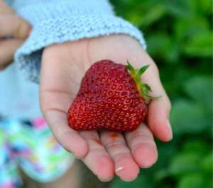 Strawberry Jackpot - Lori's Getting to Yum story